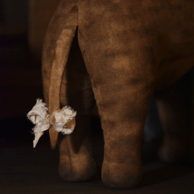 Éléphant 