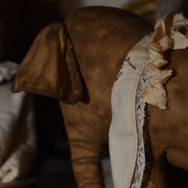 Éléphant 