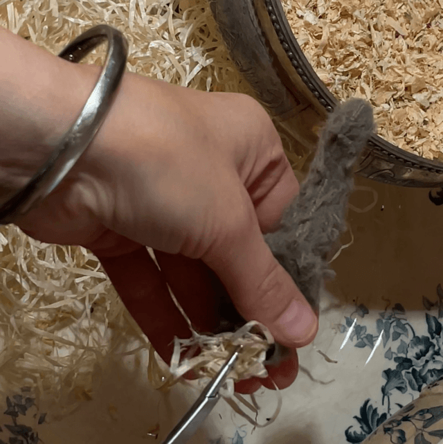 Masterclass : Créez un Éléphant  Accès Vidéo